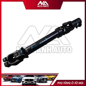 KHỚP CHỮ THẬP CÁC ĐĂNG HS 10713663T 10109540