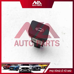 CÔNG TẮC CỐP SAU RX5 HS20.24 11426146